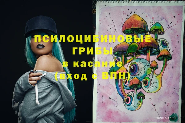 ПСИЛОЦИБИНОВЫЕ ГРИБЫ Навашино