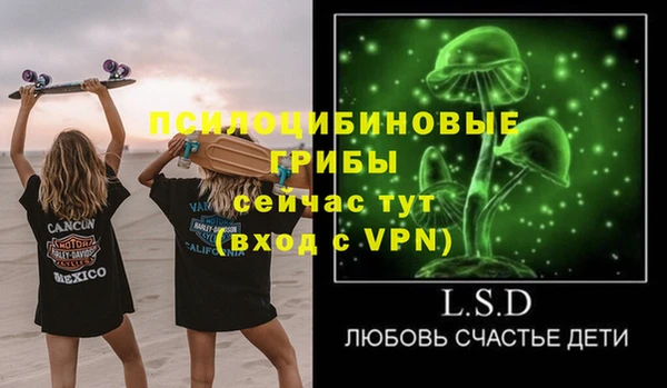 ПСИЛОЦИБИНОВЫЕ ГРИБЫ Навашино