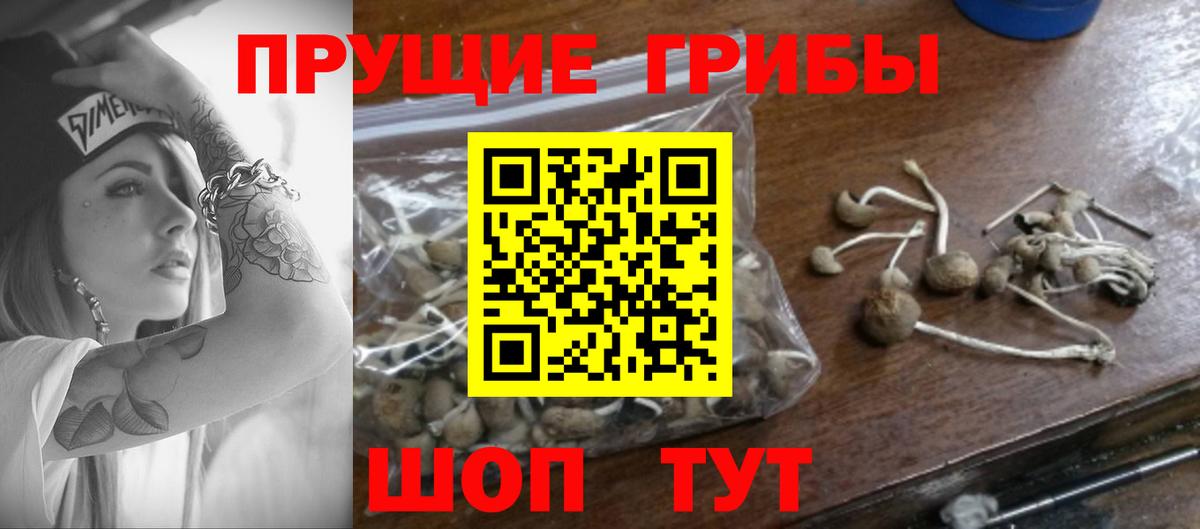 Балашиха  Псилоцибиновые грибы MAGIC MUSHROOMS  Вход с VPN 