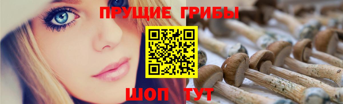 Псилоцибиновые грибы мухоморы  Балашиха 